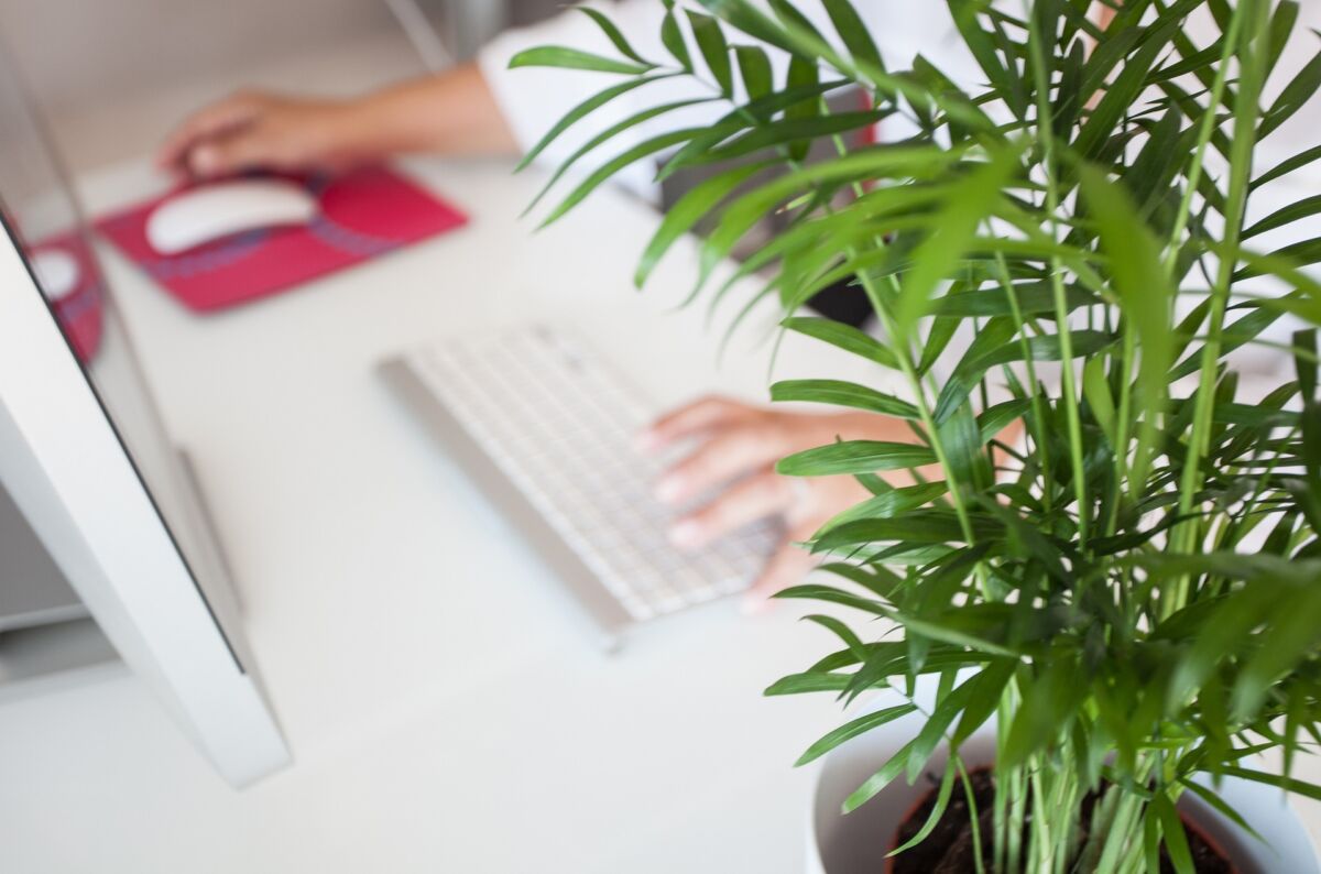 Buroservices Mobilier De Bureaux Telework G2457e9fd3 1920
