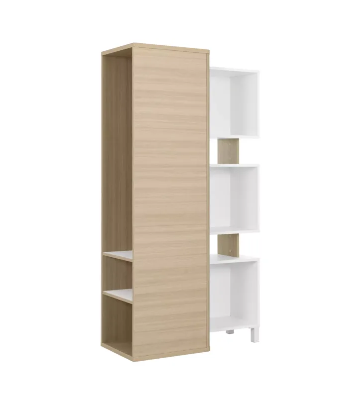 Bibliothèque ABSOLU – Image 3